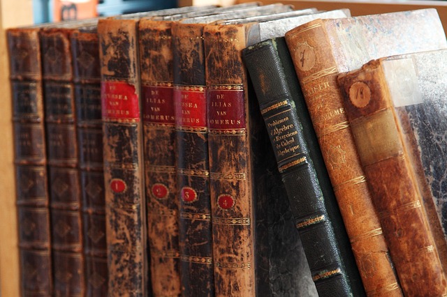 Gut erhaltene antiquarische Bücher sind schwer zu finden | kabale-und-liebe.de
